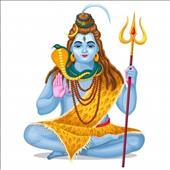 Shiv P M 2 Colour